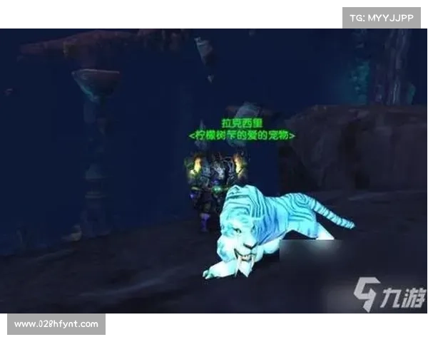 《魔兽世界副本探险全攻略 从入门到精通的完美指南》