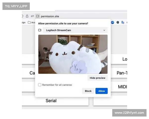掌握火狐浏览器最新功能技巧全面提升你的上网与办公效率 掌握火狐浏览器最新功能技巧全面提升你的上网与办公效率
