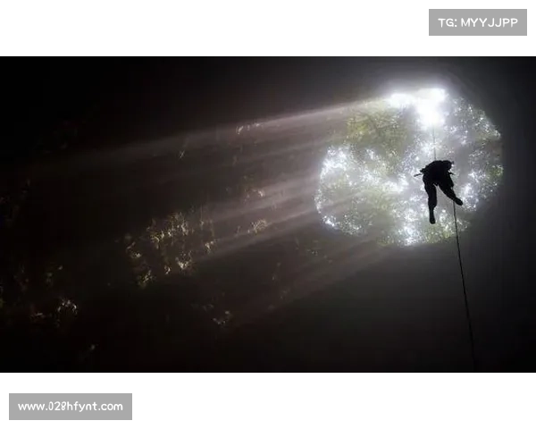 揭开魔兽世界元素太初的神秘面纱探索其深层背景与未解之谜 揭开魔兽世界元素太初的神秘面纱探索其深层背景与未解之谜